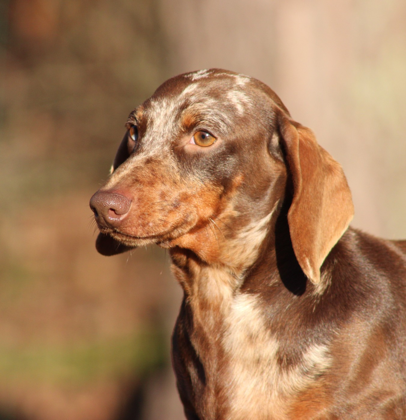 Vertige de l' amour de l'air salin