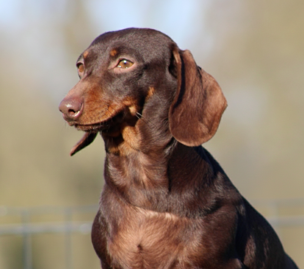 Uriell de l'air salin