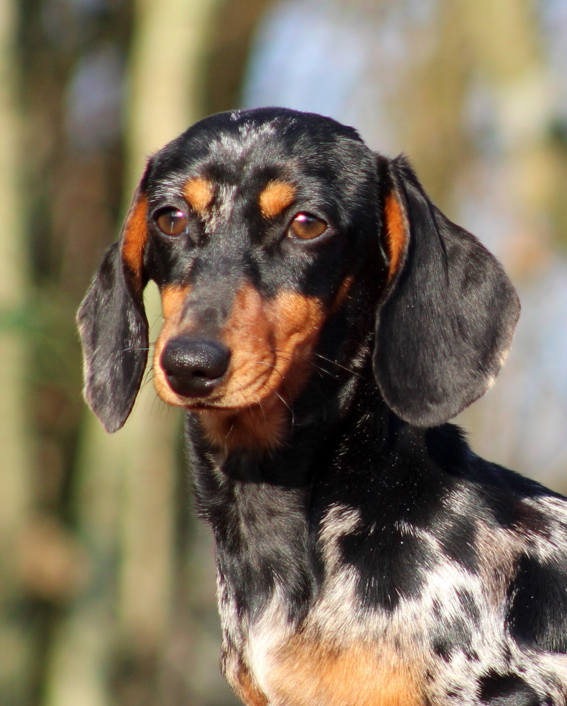 Arawa de l'air salin