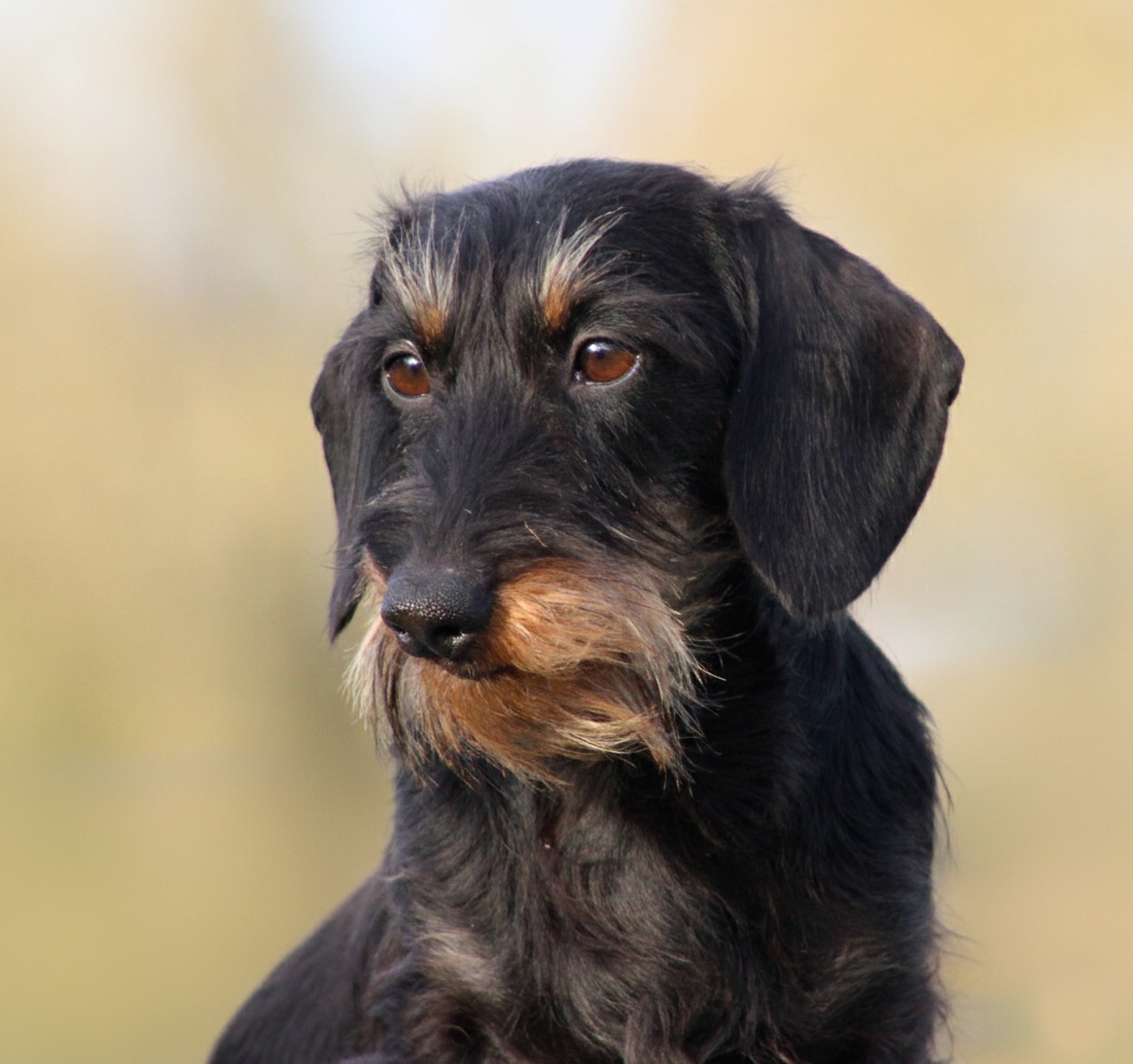 Uky Du Clos Des Bords De Mer