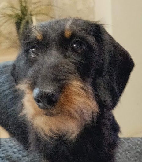 Uky Du Clos Des Bords De Mer