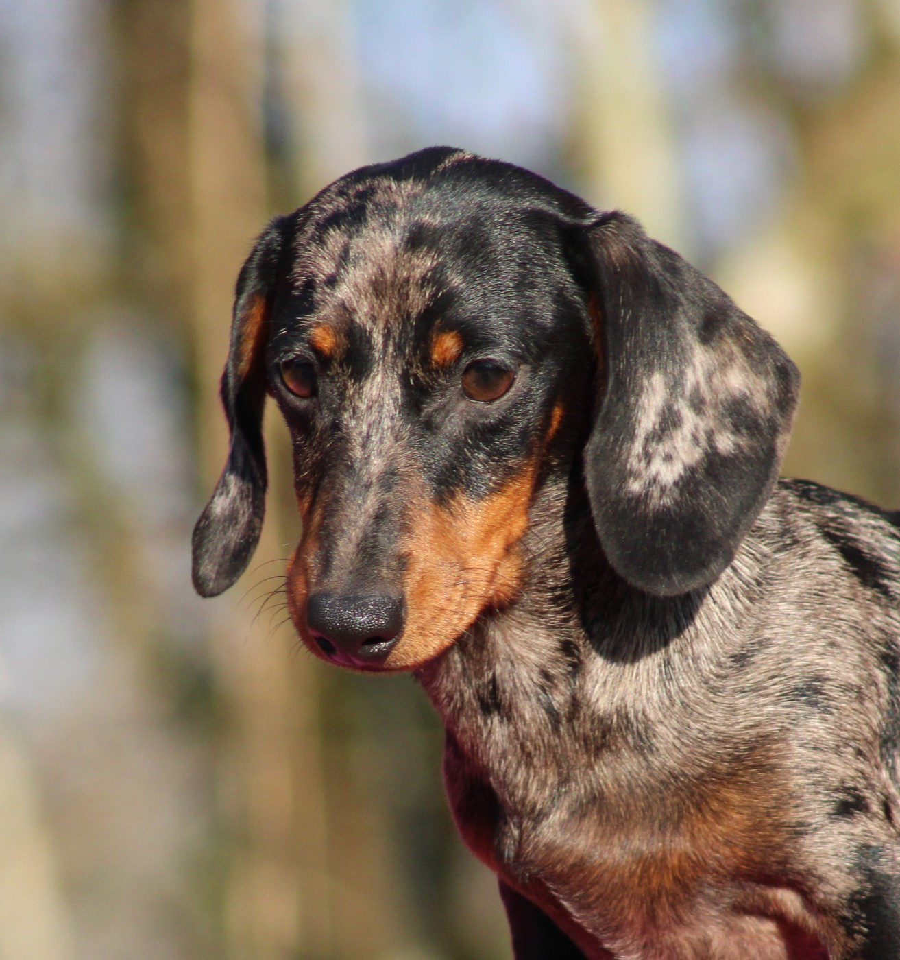 Aigue Marine de l'air salin
