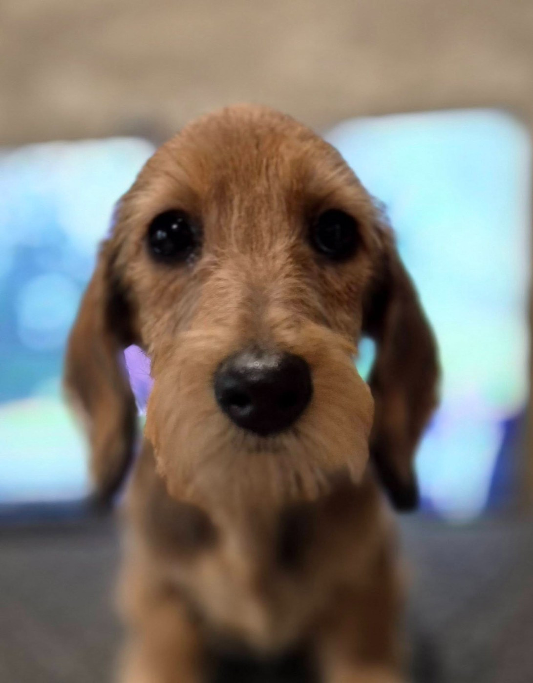 A la Folie de l'air salin