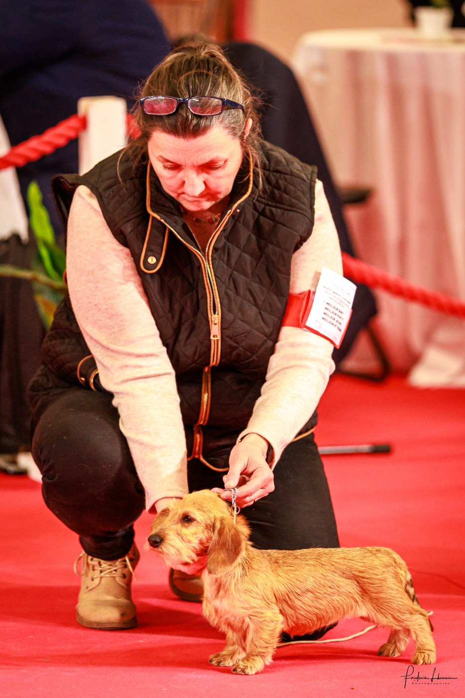 Concours : Paris Dog Show 2026