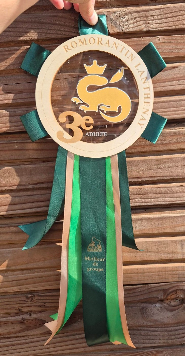 Concours - Exposition de Romorantin
