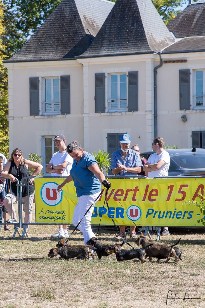 de l'air salin - Exposition Nationale de Romorantin 2022